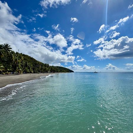 Le Gaspardo , 2 Chambres Climatisees , A 2 Mins A Pied De La Plage , Wifi , Jardin Clos, Parking ,Sans Vis-A-Vis Le Carbet Exterior foto